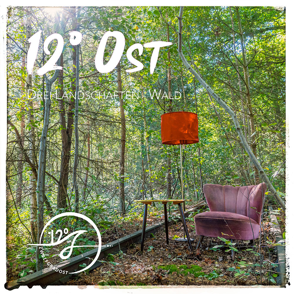Cover: Drei Landschaften - Wald